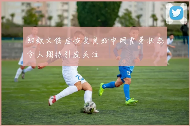 郑钦文伤后恢复良好中网首秀状态令人期待引发关注