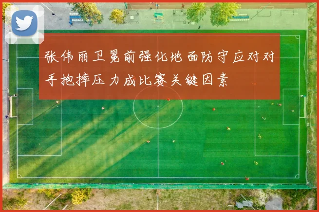 张伟丽卫冕前强化地面防守应对对手抱摔压力成比赛关键因素