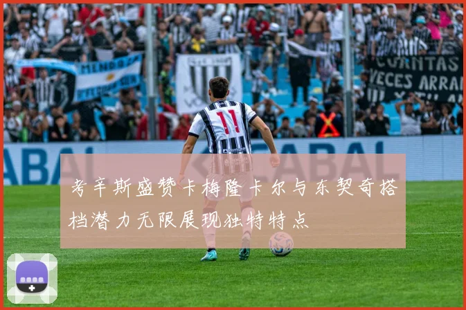 考辛斯盛赞卡梅隆卡尔与东契奇搭档潜力无限展现独特特点
